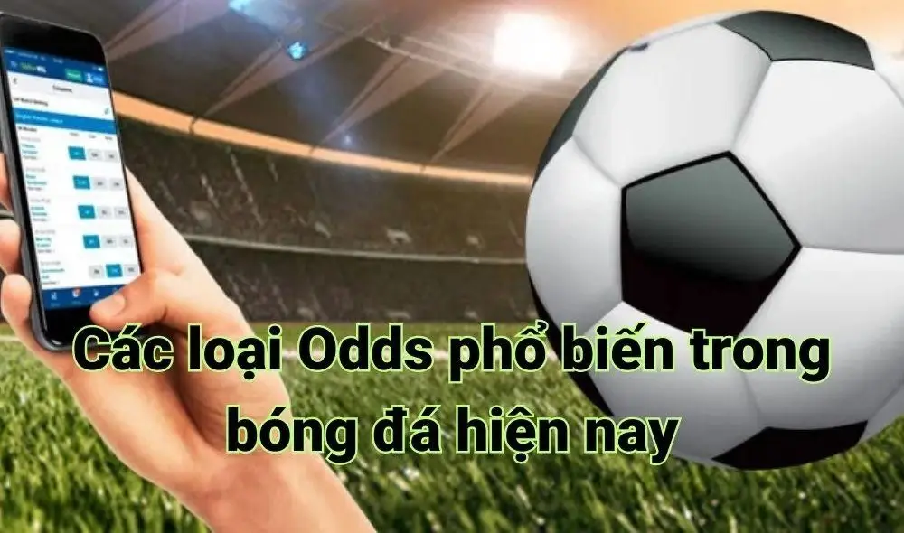 Odds là gì - Giải Mã Bí Mật Tỷ Lệ Cược Ứng Dụng Thực Tế