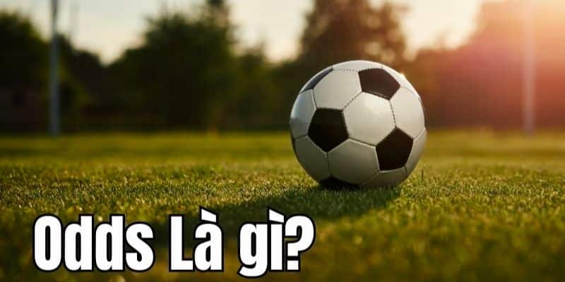 Odds là gì - Giải Mã Bí Mật Tỷ Lệ Cược Ứng Dụng Thực Tế