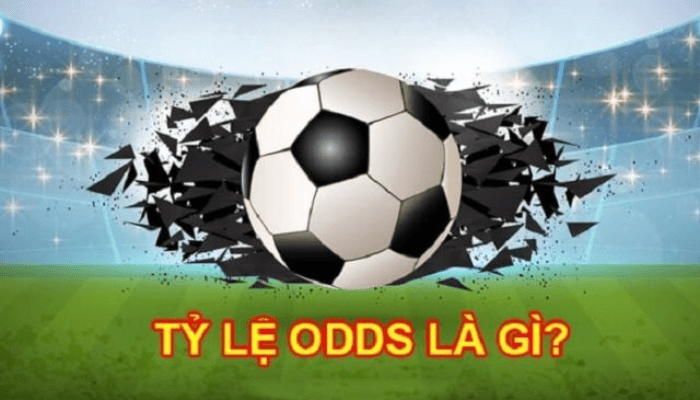 Odds là gì - Giải Mã Bí Mật Tỷ Lệ Cược Ứng Dụng Thực Tế